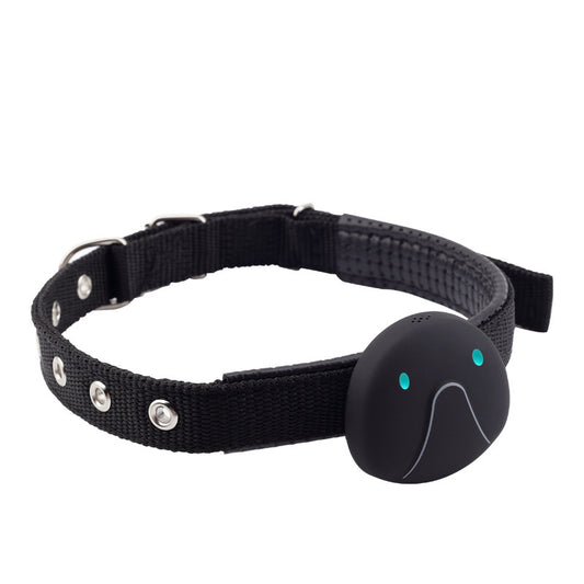 Mini Pet Smart Wearable Locator