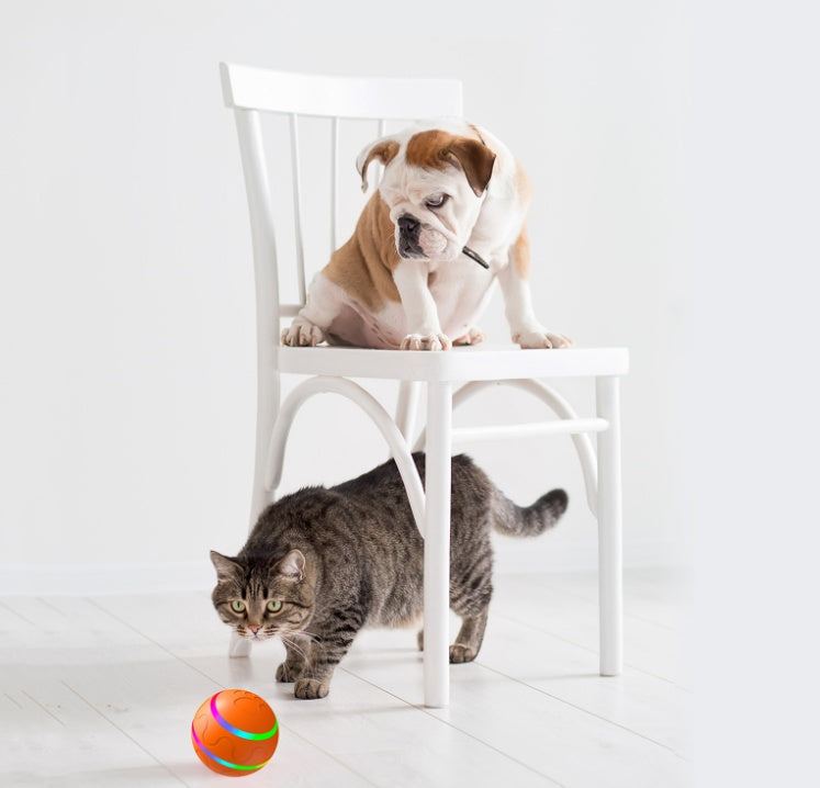 Cat Wicked Ball Toy Intelligent Ball USB Cat Toys