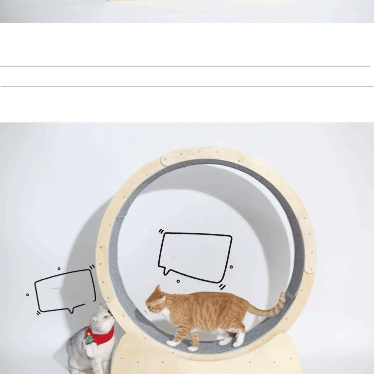 Cat Treadmill Roller