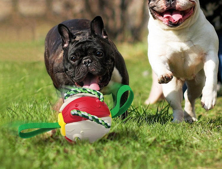 Tabs Inflated Training Toy Outdoor Border Collie Balls Pet Products